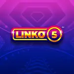linko 5